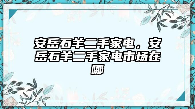 安岳石羊二手家電，安岳石羊二手家電市場(chǎng)在哪