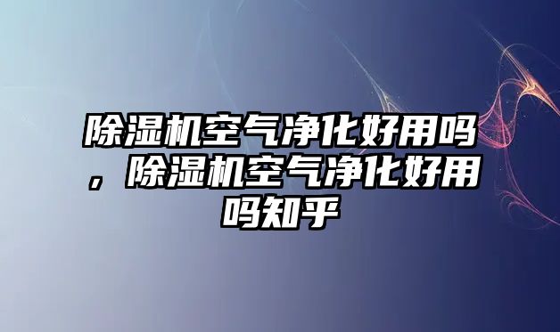 除濕機空氣凈化好用嗎，除濕機空氣凈化好用嗎知乎