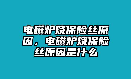 電磁爐燒保險絲原因，電磁爐燒保險絲原因是什么